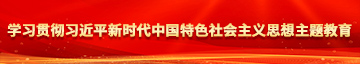 草b视频学习贯彻习近平新时代中国特色社会主义思想主题教育